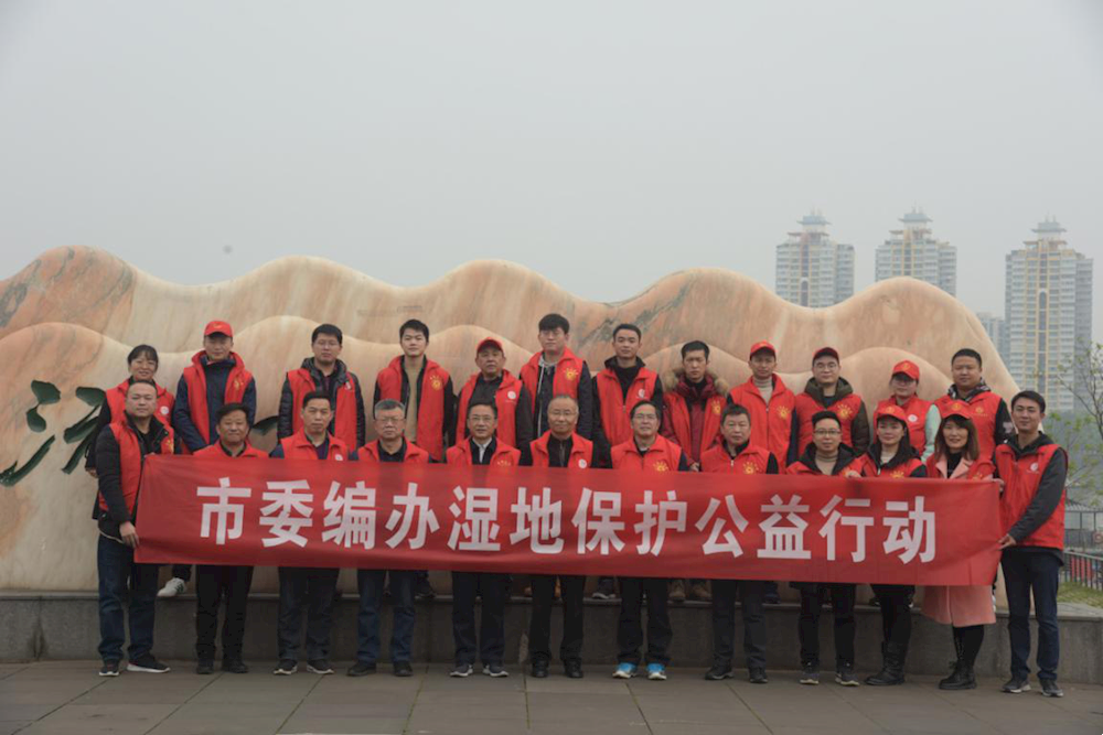 b543475fc18f40a8a93d32dbc6e0be0e.png